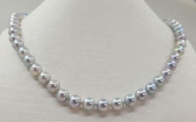 7.5x8mm Silvery Akoya Pearls - 14 kt. Yellow gold - Necklace