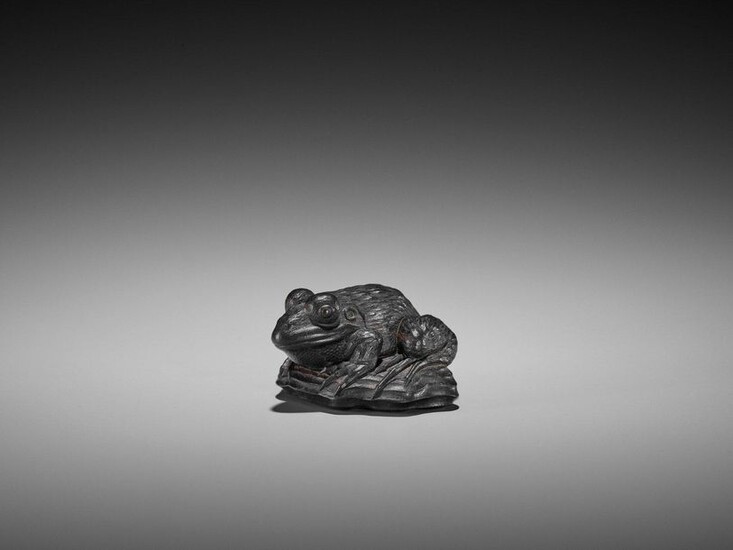 AN IMPORTANT EBONY WOOD NETSUKE OF A FROG ON DRIFTWOOD ATTRIBUTED TO SEIYODO TOMIHARU