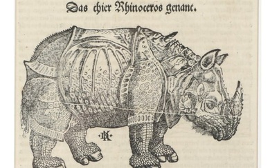 After Albrecht Durer (1471-1528), The Animal Named Rhinoceros, woodcut on papier verge 5 1/2"H x 6