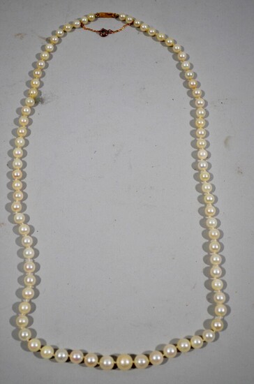 Collier de perles dites "Acoya" disposées... - Lot 25 - Actéon - Compiègne Enchères
