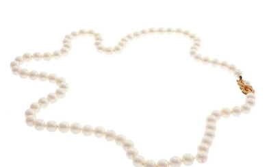 Cultured Pearl, 18k Yellow Gold Necklace