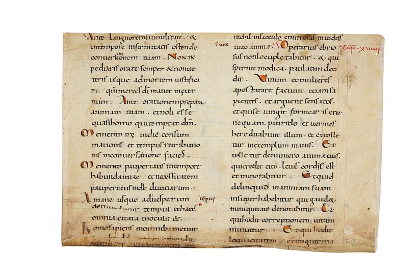 Ɵ Cutting from a gargantuan ‘Atlantic’ Bible, with parts of Ecclesiasticus 18-19, in Latin