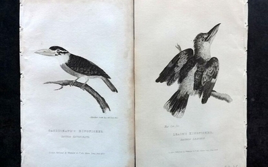 Cuvier, Baron C1830 Pair of Bird Prints. Kingfishers