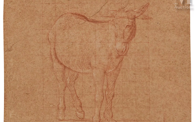 École italienne du XVIIème siècle Un âne