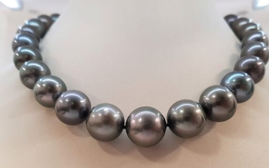 Huge Size - No Reserve - 13x16.2mm Round Peacock Tahitian pearls - Necklace