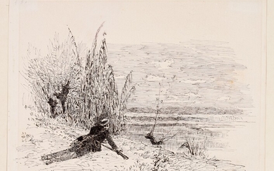Hunter by the pond. Ca. 1880-1900 Drawing, pen and brown ink, 23 x 31 cm,...