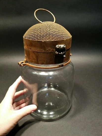 Iron & Glass Firefly Lightning Bug Jar Cage trap