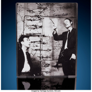 James Watson & Francis Crick with a "DNA"...