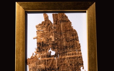 LARGE FRAGMENT OF PAPYRUS
