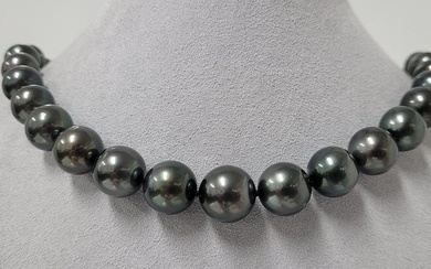 Large 11.2x13.5mm Peacock Black Tahitian Pearls - Necklace