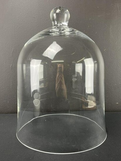 Large Antique Glass Display Dome Bell Cloche