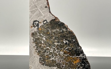 Large XXL SEYMCHAN Meteorite Polished HIGH QUALITY - 266 g