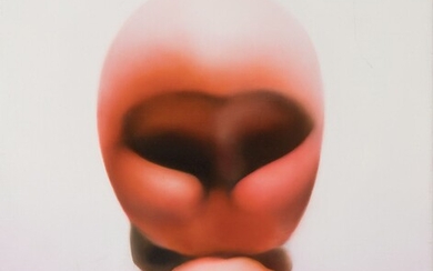MARTÍ CORMAND (Barcelone, 1970)."Rose", 1999.Huile sur toile.Signée, datée et titrée au dos.Dimensions : 38 x...