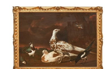 Marmaduke Cradock (1660 - 1716) A brace of pheasants, a curl...