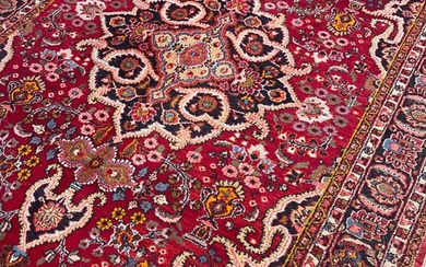 Meshed - Carpet - 302 cm - 210 cm