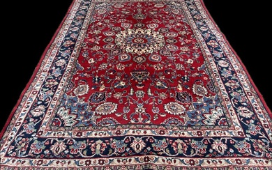Meshed - Carpet - 305 cm - 204 cm