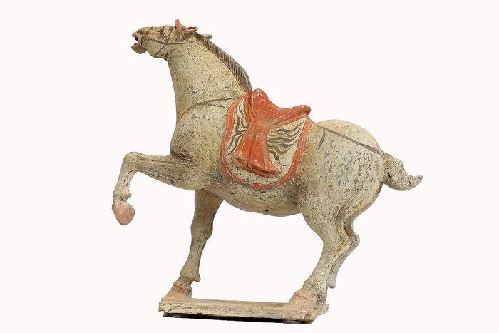 Mingqi - Terracotta - An Exceptional Buff Pottery Figure of a Prancing Horse, Tl test - China - Tang Dynasty (618-907)