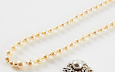 NECKLACE, metered, cultured saltwater pearls approx. 2,5-5,3 mm, clasp, 18 k gold, Gustaf Dahlgren & Co, Malmö 1951, COLLIERLÅP, silver, with this pearl.