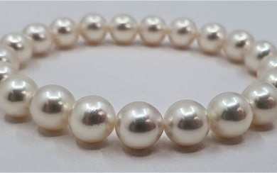NO RESERVE PRICE - Top grade AAA 8x9mm Akoya pearls - Bracelet