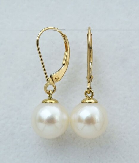 No Reserve Price - South sea pearls, Top Grade 9 -9.5 mm - Earrings, 14 kt. Yellow Gold