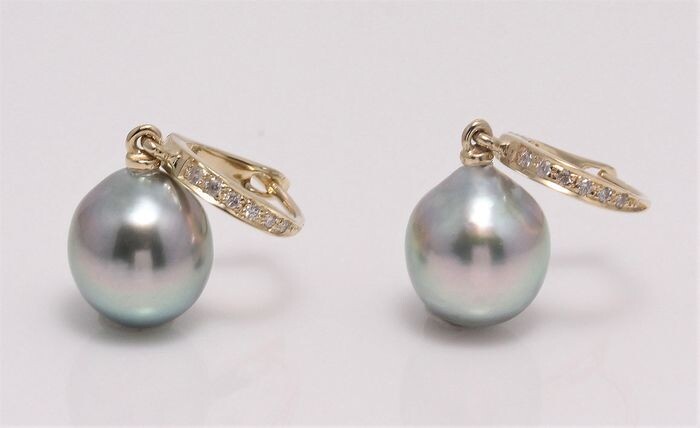 No reserve price - 14 kt. Yellow Gold - 9x10mm Tahitian Pearl Drops - Earrings - 0.09 ct