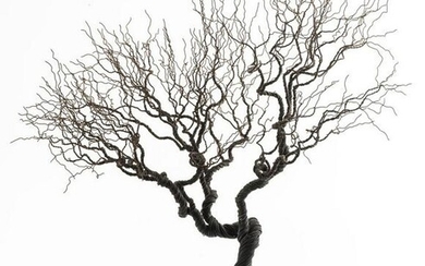 Pablo Avilla Contemporary Wire tree Sculpture