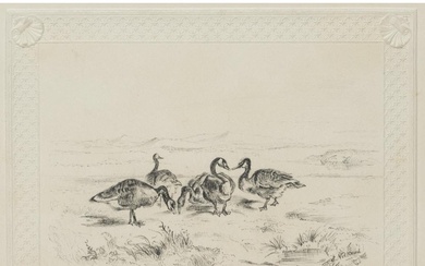 S. NELKENS (19th), Wild geese in a vast landscape, Pencil