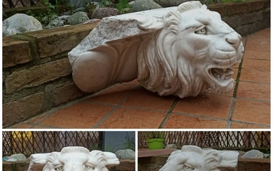 Sculpture, "Testa di leone" - Metà del XX secolo - 30 cm - Marble