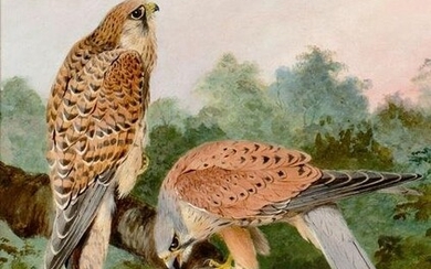 TWO FALCONS ON A BRANCH OIL PAINTING