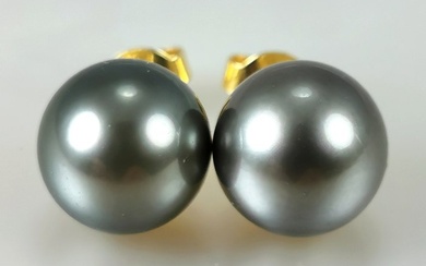 Tahitian cultured pearls earrings Ø 10,5 MM - Earrings - 18 kt. Yellow gold Pearl