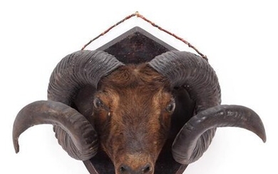 Taxidermy: A Group of Late Victorian Trophy Heads and Antlers,...