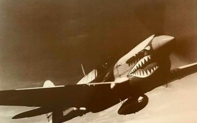 World War II Tiger Shark Photo Print