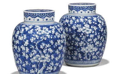 A PAIR OF CHINESE BLUE AND WHITE OVIFORM JARS AND COVERS, KANGXI PERIOD (1662-1722)