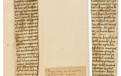 Ambrosiaster. Quaestiones Veteris et novi testamenti, two fragments, [France or Low Countries], [Tenth century, or c.1000].