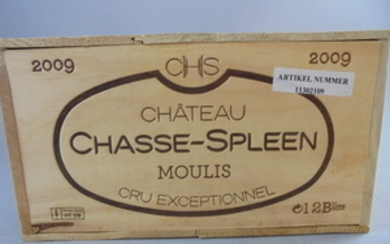 Château Chasse-Spleen 2009