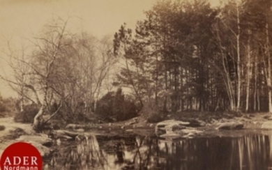 Paul Gaillard (1832 1890) (attribué à) Forêt de Fo…