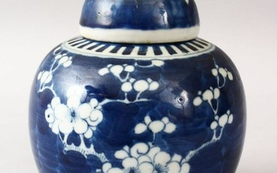 A 19TH CENTURY CHINESE BLUE & WHITE PORCELAIN PRUNUS
