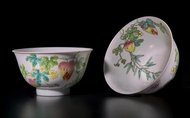 A fine pair of Chinese famille rose-decorated "Balsam-Pear" bowls 粉彩過枝