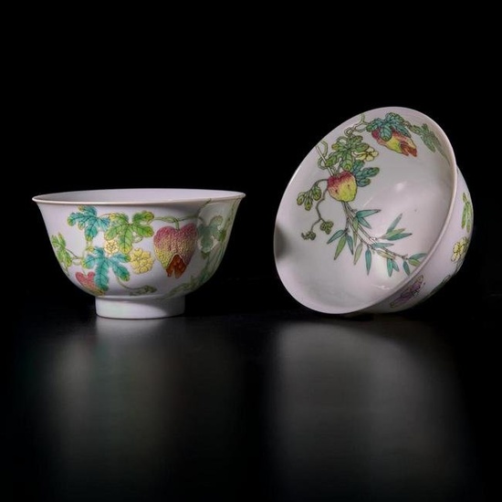 A fine pair of Chinese famille rose-decorated "Balsam-Pear" bowls 粉彩過枝