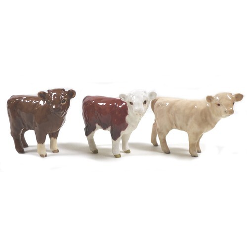 A group of three Beswick calves, comprising a 'Limousin Calf...