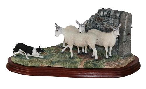 * Border Fine Arts 'Stand Off' (Border Collie and Sheep),...