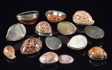 Collection of 13 antique silver mounted cowrie shell boxes. 1) Birmingham mark on inside rim and