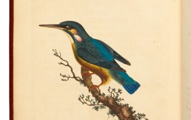 DONOVAN | The natural history of British birds, 1794-1798