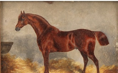 English School, 19th century, miniature, of a thoroughbred h...
