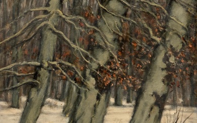 Gezicht op Bezuidenhout in de winter