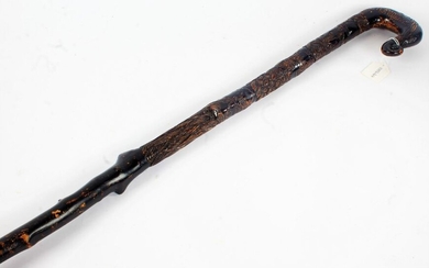Highly decorative 19th Century walking stick, carved with the British and the Anderson family crest