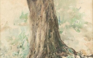JOAQUÃN VANCELLS Y VIETA (1866 / 1942) "Tree trunk"