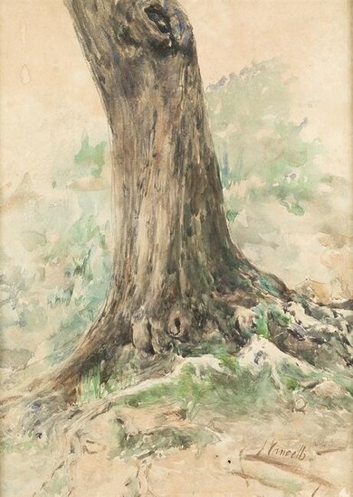 JOAQUÃN VANCELLS Y VIETA (1866 / 1942) "Tree trunk"