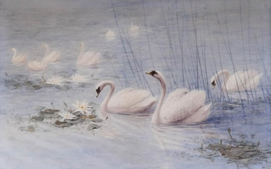 Katsuzo Takahashi (19th Cent. Japanese) Swans in Pond