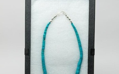 Large Zuni Turquoise Like Disc Bead Necklace